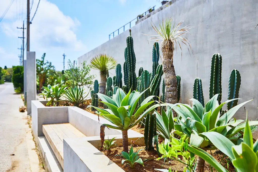 Garden and Terrace